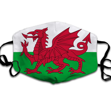 Welsh Face Mask - DucG