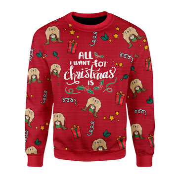 Customspig Christmas Sweater All I Want For Christmas Is You Elf Butt 3D Apparel
