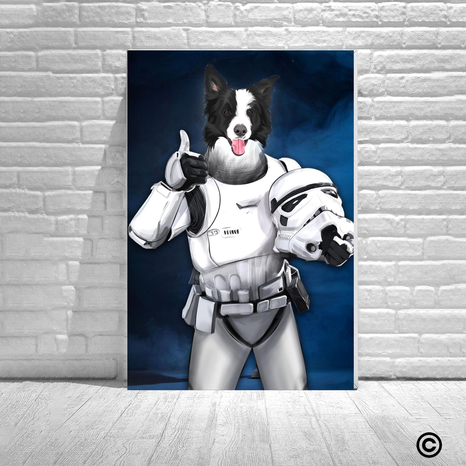 CS-ST-QM013 Personalized Photo Canvas PosterStomTrooper Home Decor