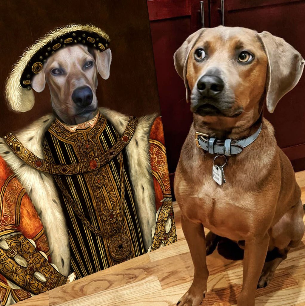 Customized Pet Photo Canvas - King Henry VIII of England